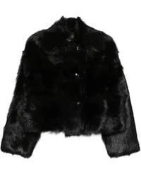 Alberta Ferretti - Giacca Crop Con Bottoni - Lyst