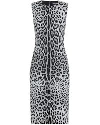 Dolce & Gabbana - Animal-Print Midi Dress - Lyst