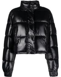 Save The Duck - Nisha Cropped Padded Jacket - Lyst