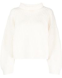 Fabiana Filippi - Chunky-Ribbed Roll-Neck Jumper - Lyst