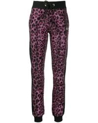 Philipp Plein - Pink Paradise Crystal-embellished Leopard Sweatpants - Lyst