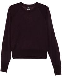 Pinko - Love Birds Pullover Mit Raglanärmeln - Lyst