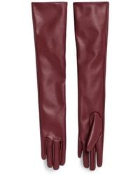 WEILI ZHENG - Long-Length Gloves - Lyst