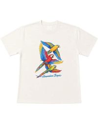 Melt - Parrot-Print T-Shirt - Lyst
