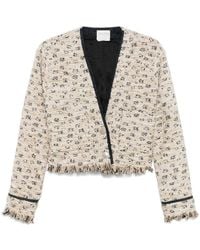 forte_forte - Tweed Jacket - Lyst