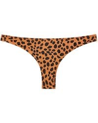Tropic of C - Bikinihöschen Mit Leoparden-Print - Lyst