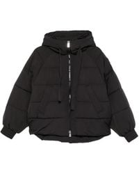 Pinko - Donsjack Met Capuchon - Lyst