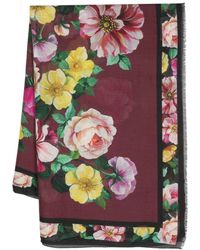 Dolce & Gabbana - Seidenschal mit Blumen-Print - Lyst