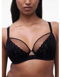 Chantelle - Reggiseno Pulp Girls Leopardato Con Inserti - Lyst