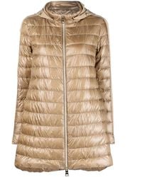 Herno - フーデッド パデッドジャケット - Lyst
