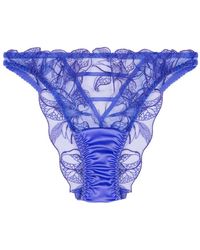 Fleur Of England - Iris Brazilian Floral-Embroidery Brief - Lyst