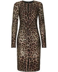 Dolce & Gabbana - Rhinestone-embellished Leopard-print Midi Dress - Lyst