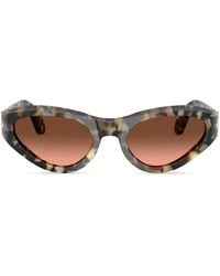 Persol - Cat-Eye Sunglasses - Lyst