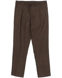 Briglia 1949 - Wimbledons Hose - Lyst