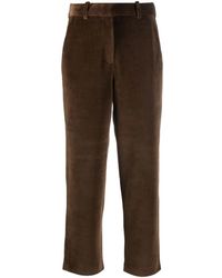 Circolo 1901 - Velour Chino Trousers - Lyst
