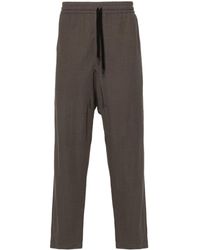 Harris Wharf London - Comfort Tapered Trousers - Lyst