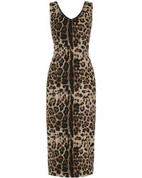 Dolce & Gabbana - Robe sans manches à imprimé léopard - Lyst