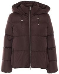 Add - Hooded Ped Jacket - Lyst