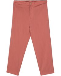 Costumein - Mid-rise Cotton Chino Trousers - Lyst