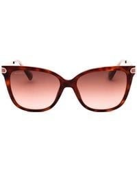 MAX&Co. - Tortoiseshell-Effect Cat-Eye Sunglasses - Lyst