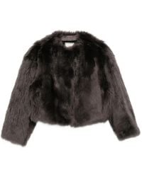 Tagliatore - Long-Sleeve Shearling Jacket - Lyst