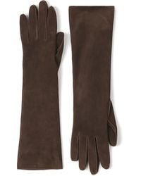 Lanvin - Handschuhe Aus Wildleder - Lyst