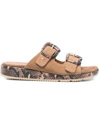 Tamaris - Snakeskin-Effect Buckle-Fastening Sandals - Lyst