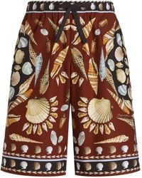 Dolce & Gabbana - Cotton-Poplin Shorts - Lyst
