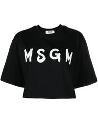 MSGM - Cropped-T-Shirt mit Logo-Print - Lyst