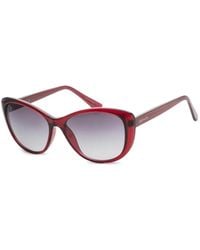 Calvin Klein - Cat-Eye Frame Sunglasses - Lyst