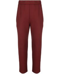 Max Mara - High-waisted Tapered Trousers - Lyst