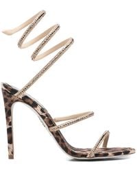 Rene Caovilla - Cleo Heel Sandals - Lyst