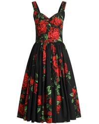 Dolce & Gabbana - Rose-Print Poplin Midi Dress - Lyst