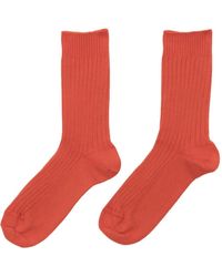 Baserange - Gerippte Socken - Lyst