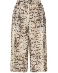 Pinko - Bermuda Shorts With Snake Print - Lyst