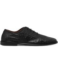 Marsèll - Stesa Ostrich-Effect Panelled Derby Shoes - Lyst