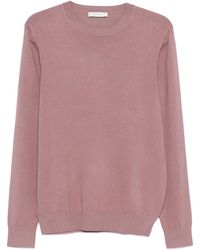 Diktat - Trui Met Ronde Hals - Lyst