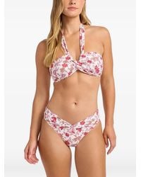 Seafolly - Floral-Print Halterneck Bikini Top - Lyst