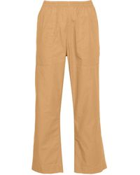 Patagonia - Funhoggers Cotton Trousers - Lyst