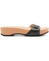 Balenciaga - X Scholl Sandal - Lyst
