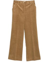 P.A.R.O.S.H. - Ribfluwelen Broek - Lyst