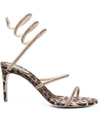 Rene Caovilla - Cleo Leopard-Print Sandals - Lyst