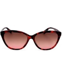adidas - Tortoiseshell-Effect Cat-Eye Sunglasses - Lyst
