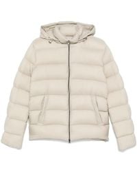Herno - Gewatteerd Jack - Lyst