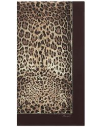 Dolce & Gabbana - Fular con estampado de leopardo - Lyst