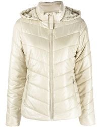 Calvin Klein - Hooded Padded Jacket - Lyst
