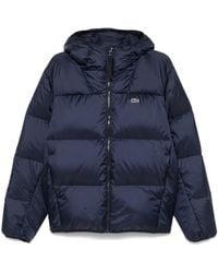 Lacoste - Gefütterte Kapuzenjacke - Lyst