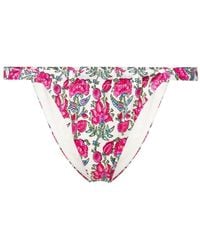Mc2 Saint Barth - Floral-print Bikini Bottoms - Lyst