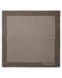 Peserico - Sciarpa Con Stampa - Lyst