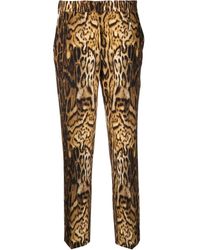 Roberto Cavalli - Cropped Leopard Print Trousers - Lyst